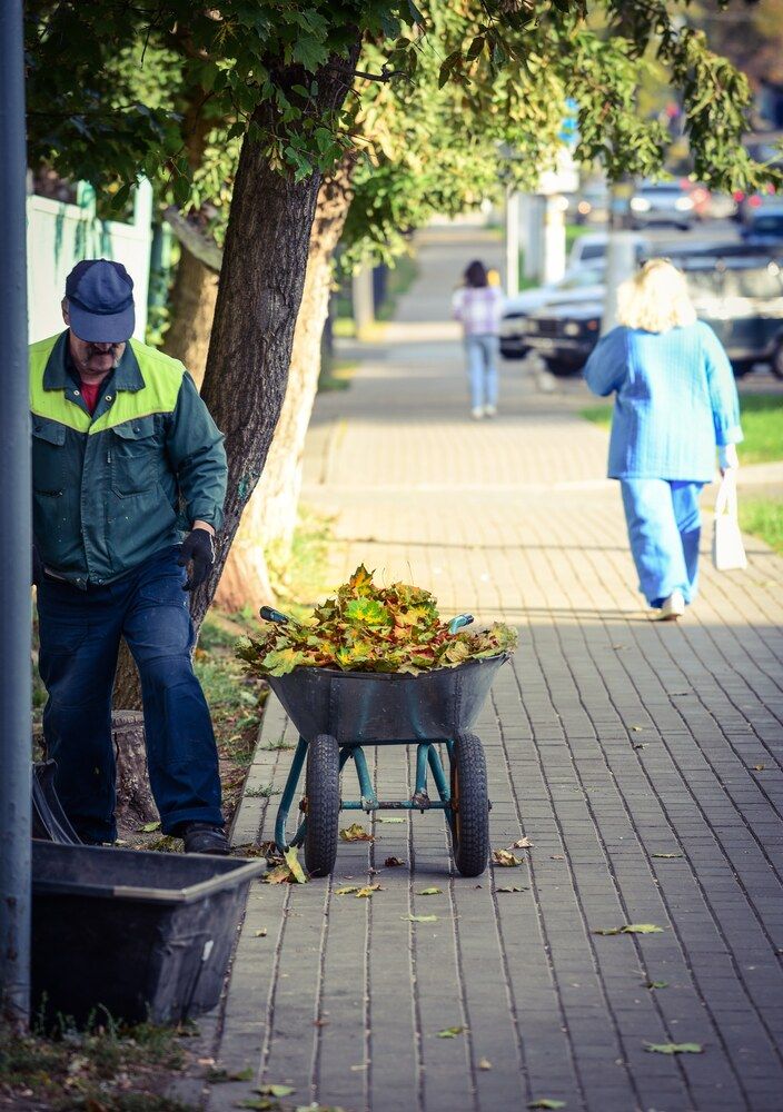 Photograph by Ксения Шилина