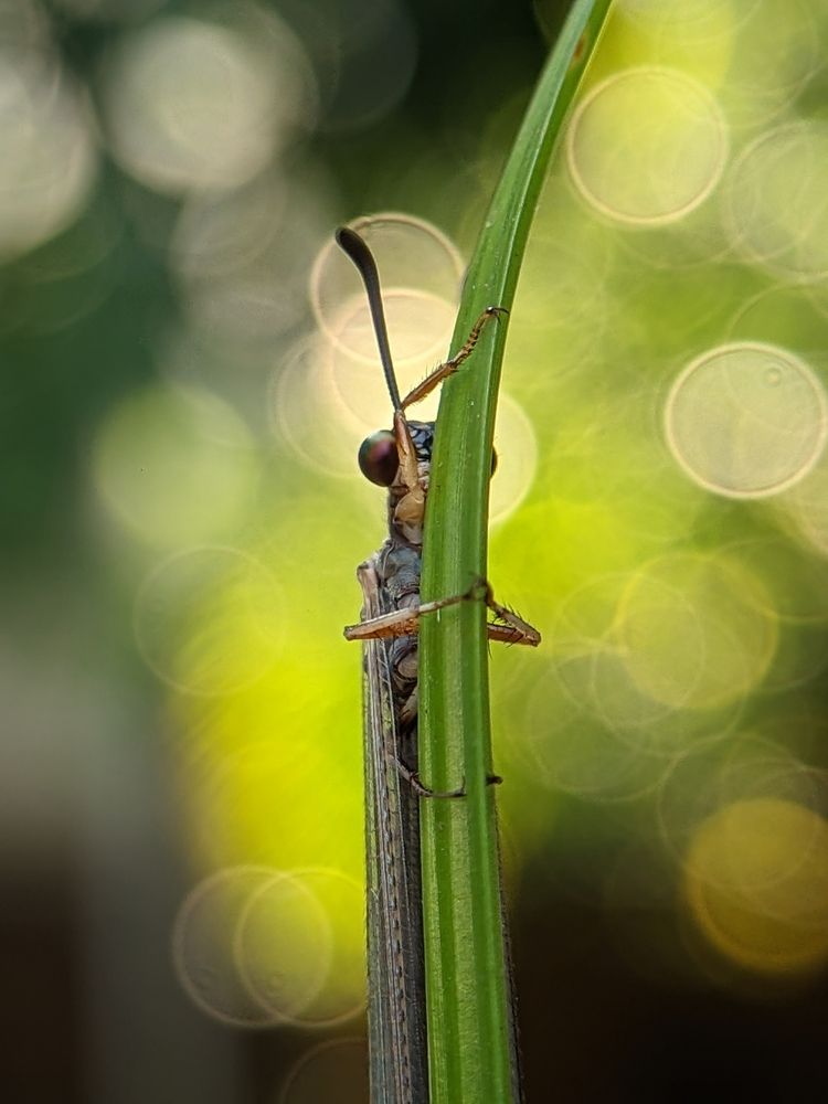 Photograph by Ameen Ahmed L