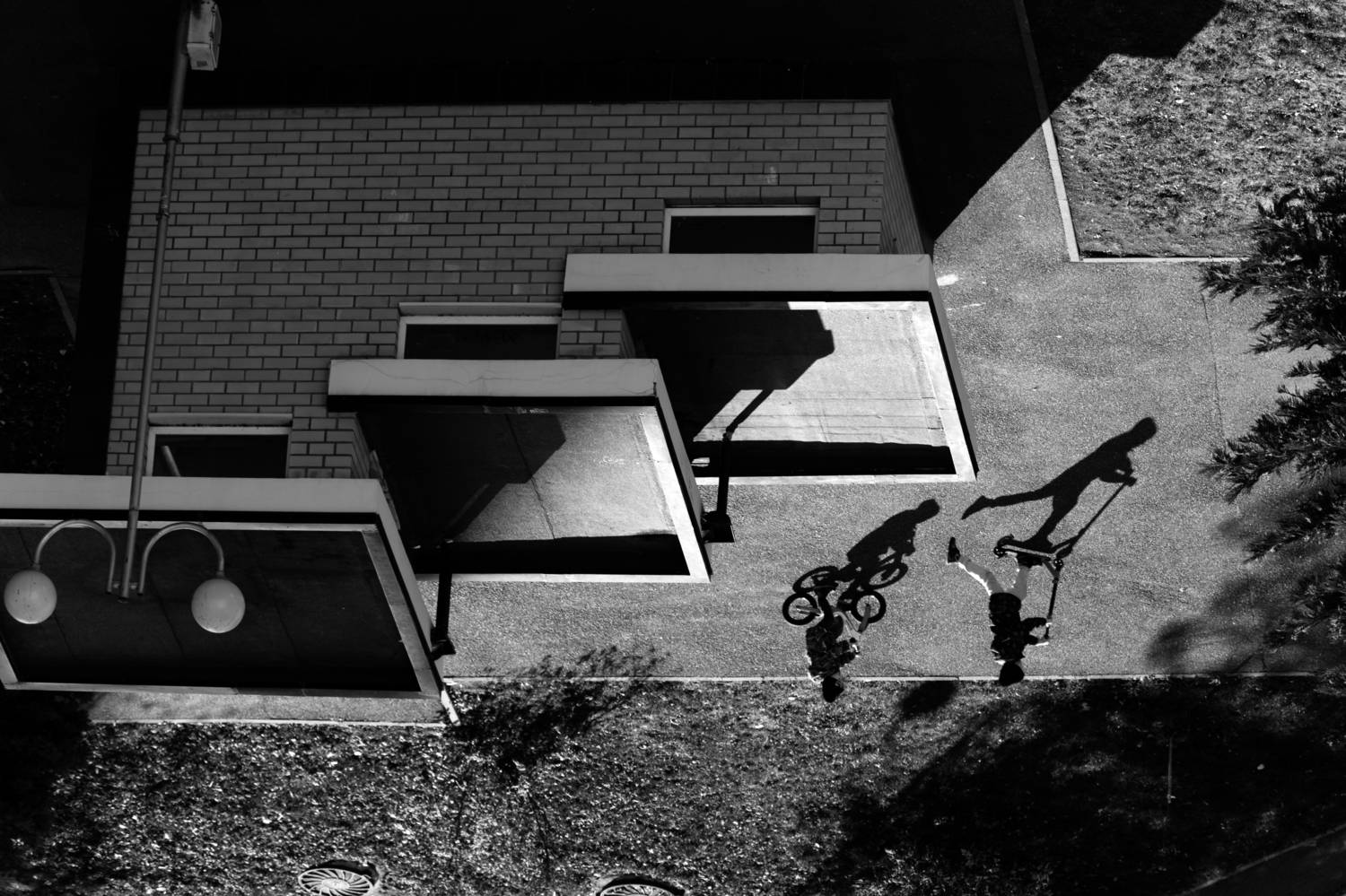 Фотография #13370601