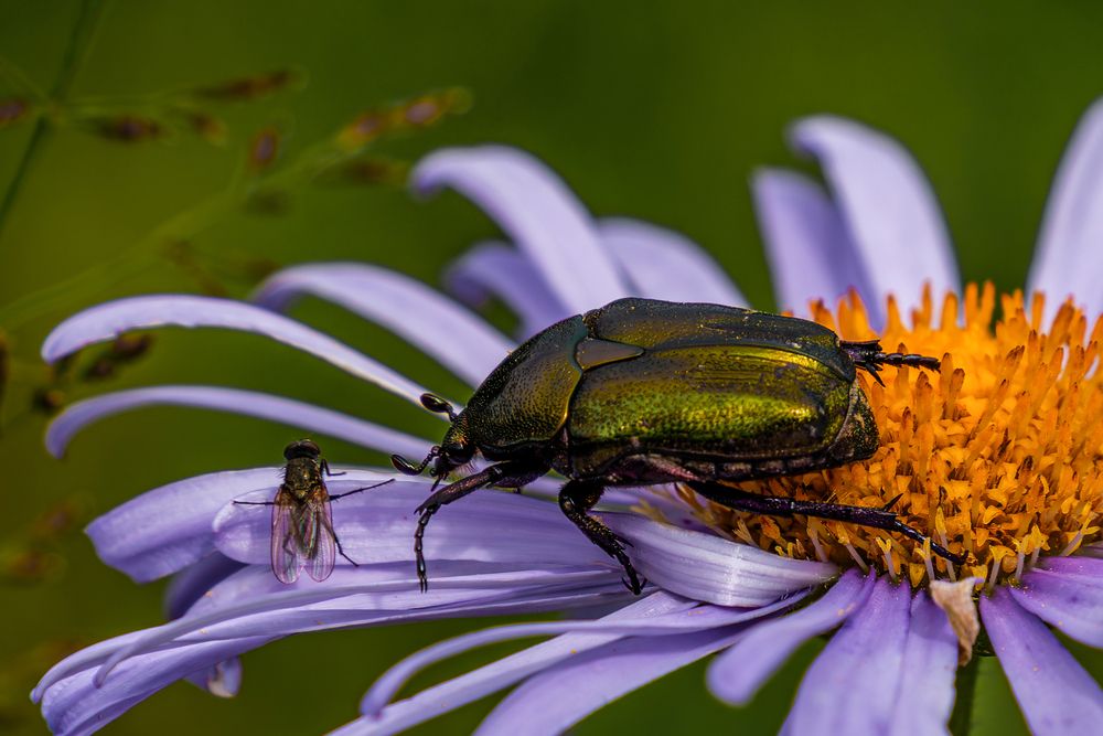 Photograph by Alexander Semenko