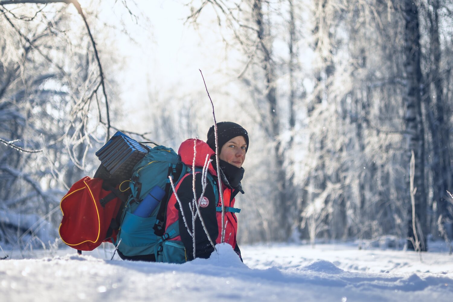 Photo #13370708