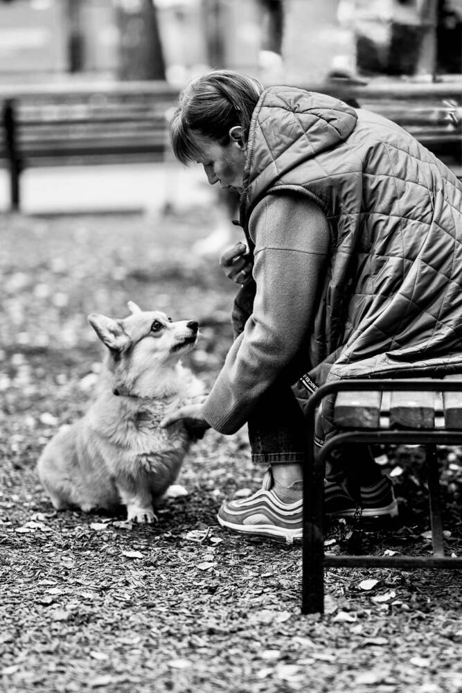 Photograph by Юлия Маркова