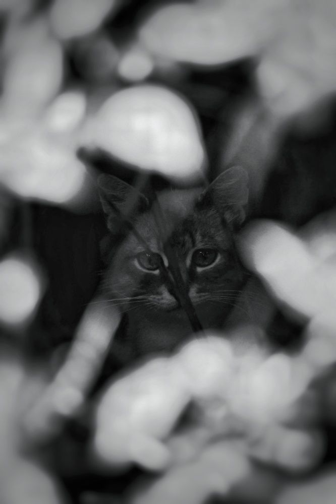 Photograph by Анастасия Кочетова