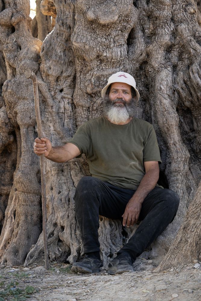 The Eternal Guardian