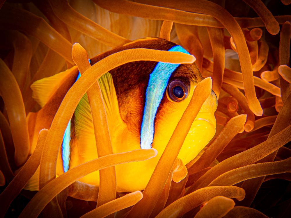 Photograph by Plakida Alexander