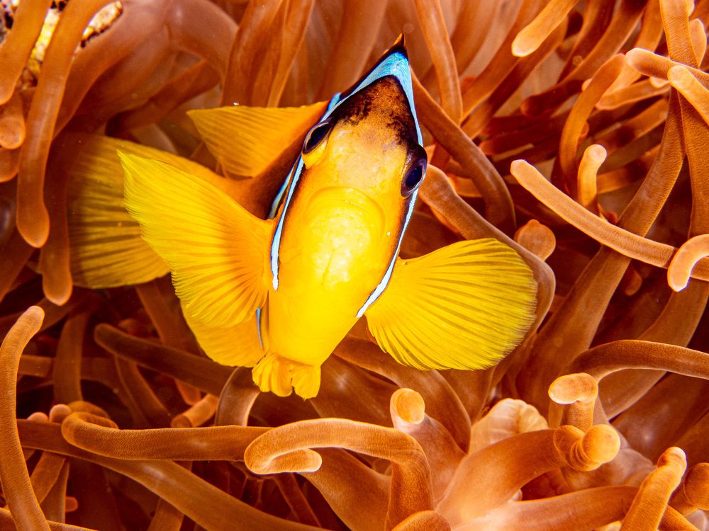 Photograph by Plakida Alexander