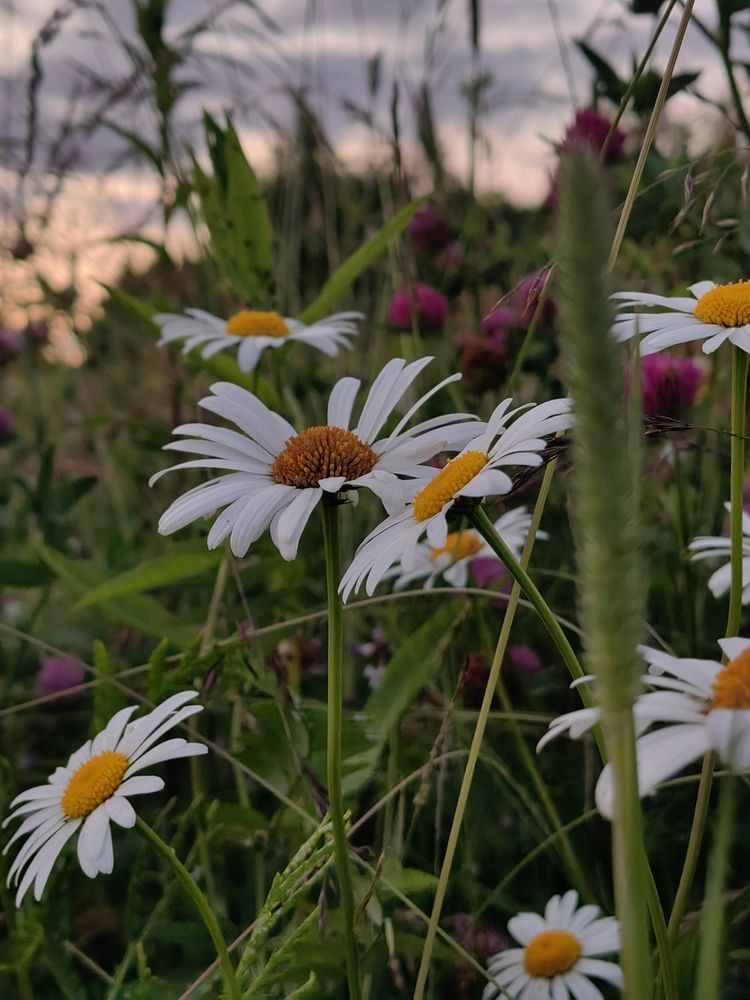 Photograph by Екатерина Смирнова