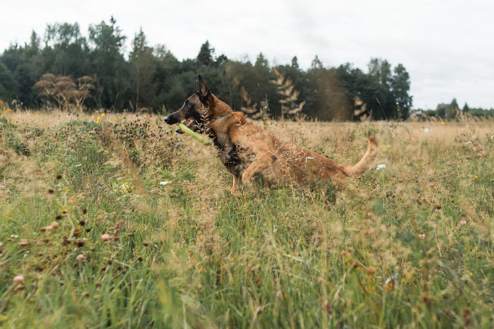 Photograph by Анастасия