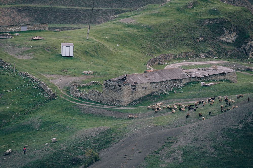 Photograph by Олег Гуляков