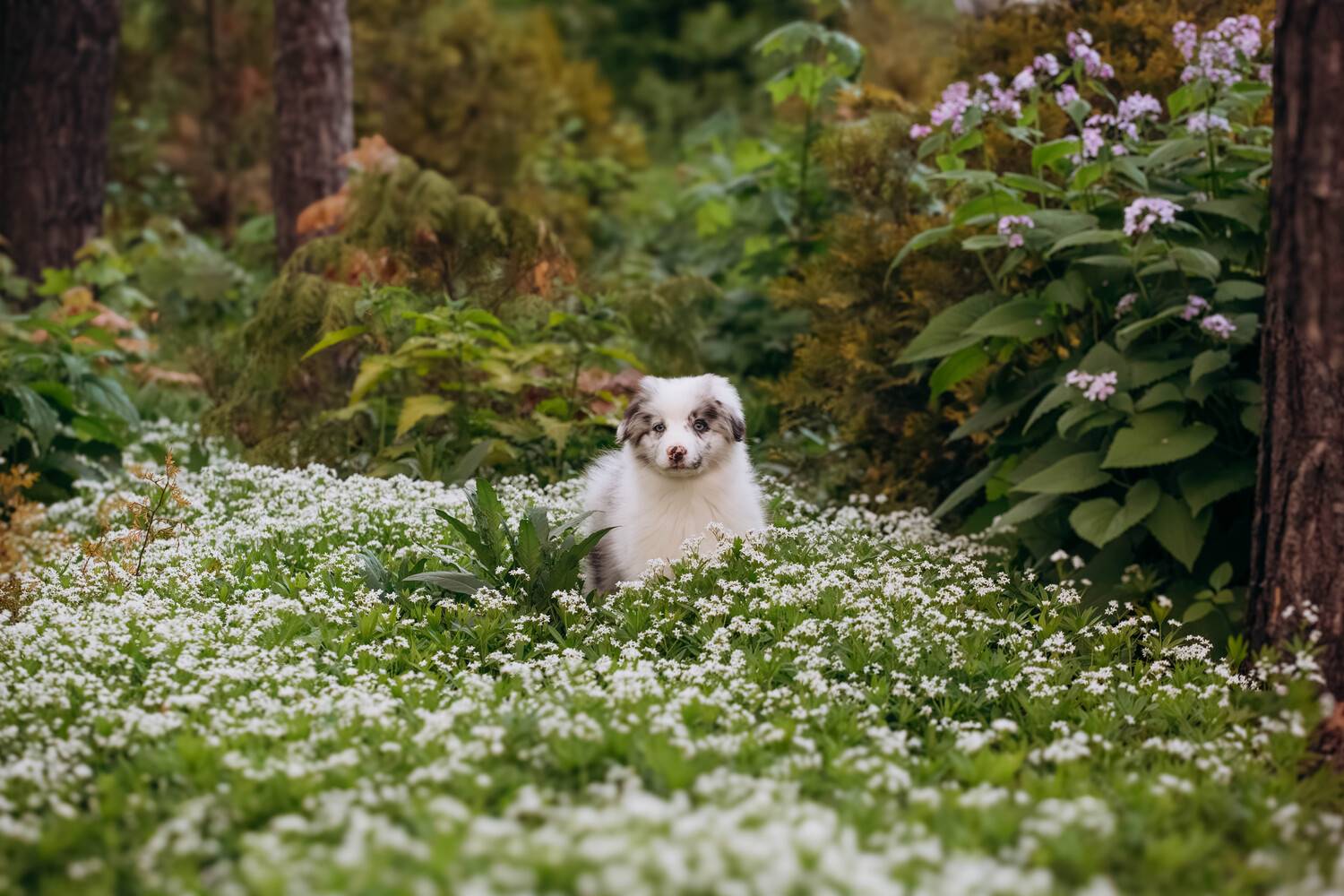 Photo #13371048