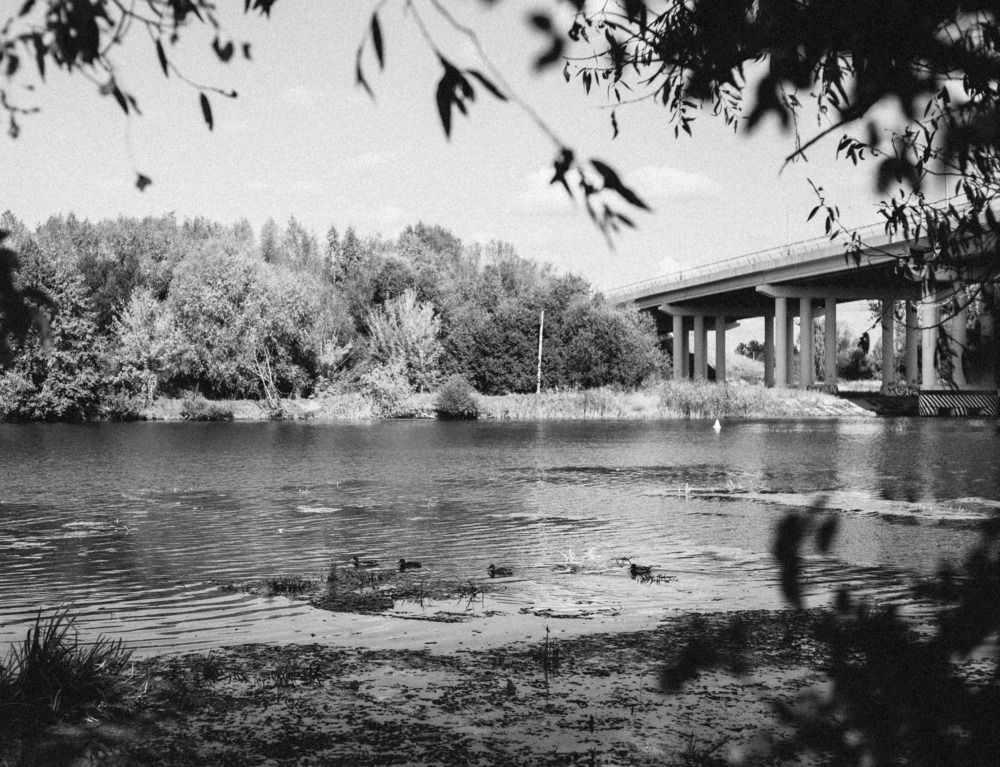 Photograph by Сергей Коляда