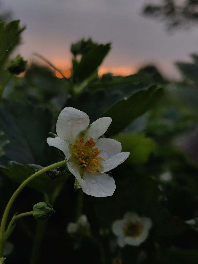 Photograph by Екатерина Смирнова