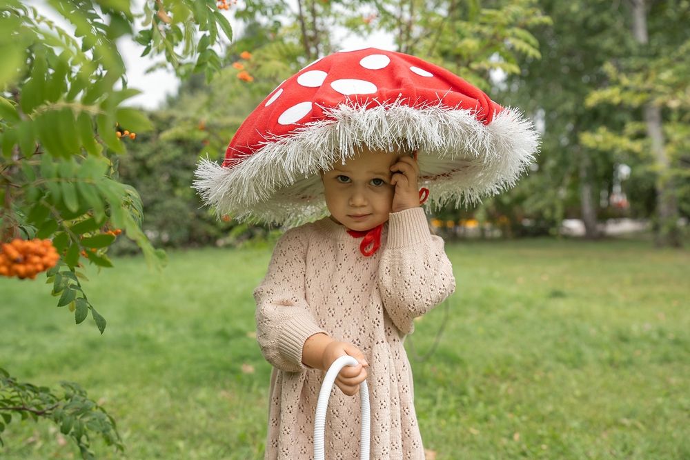 Фотография автора Елизавета Воронцова