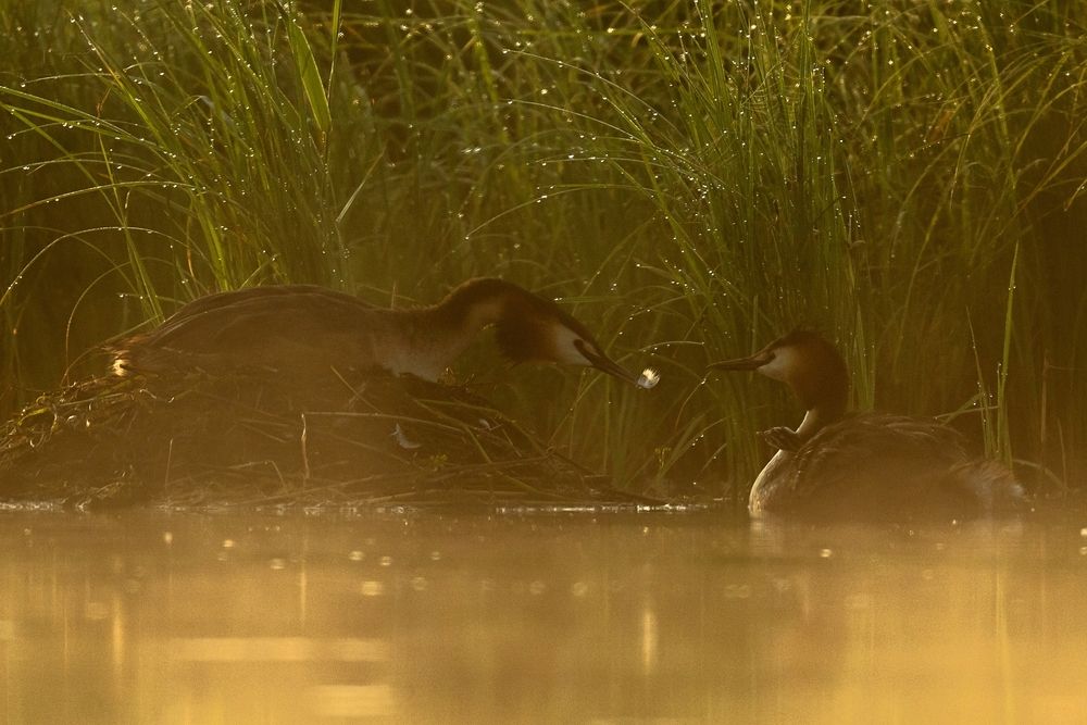 Photograph by Константин Тучин