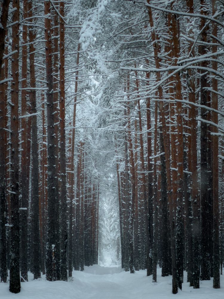 Photograph by Вячеслав Косенков