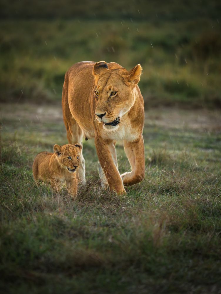 Steps Toward Tomorrow