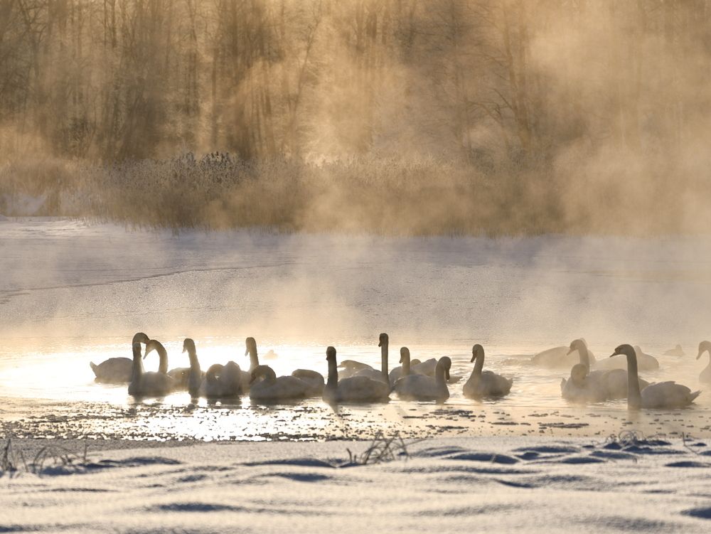 Photograph by Макаренко Денис