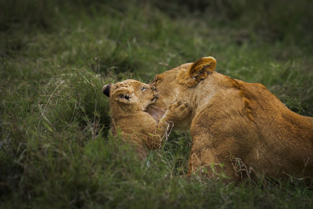 Photograph by Minudika Gammanpila