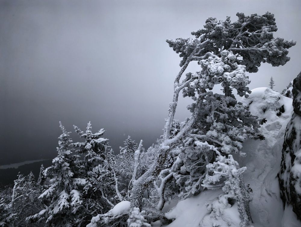 Во власти снега