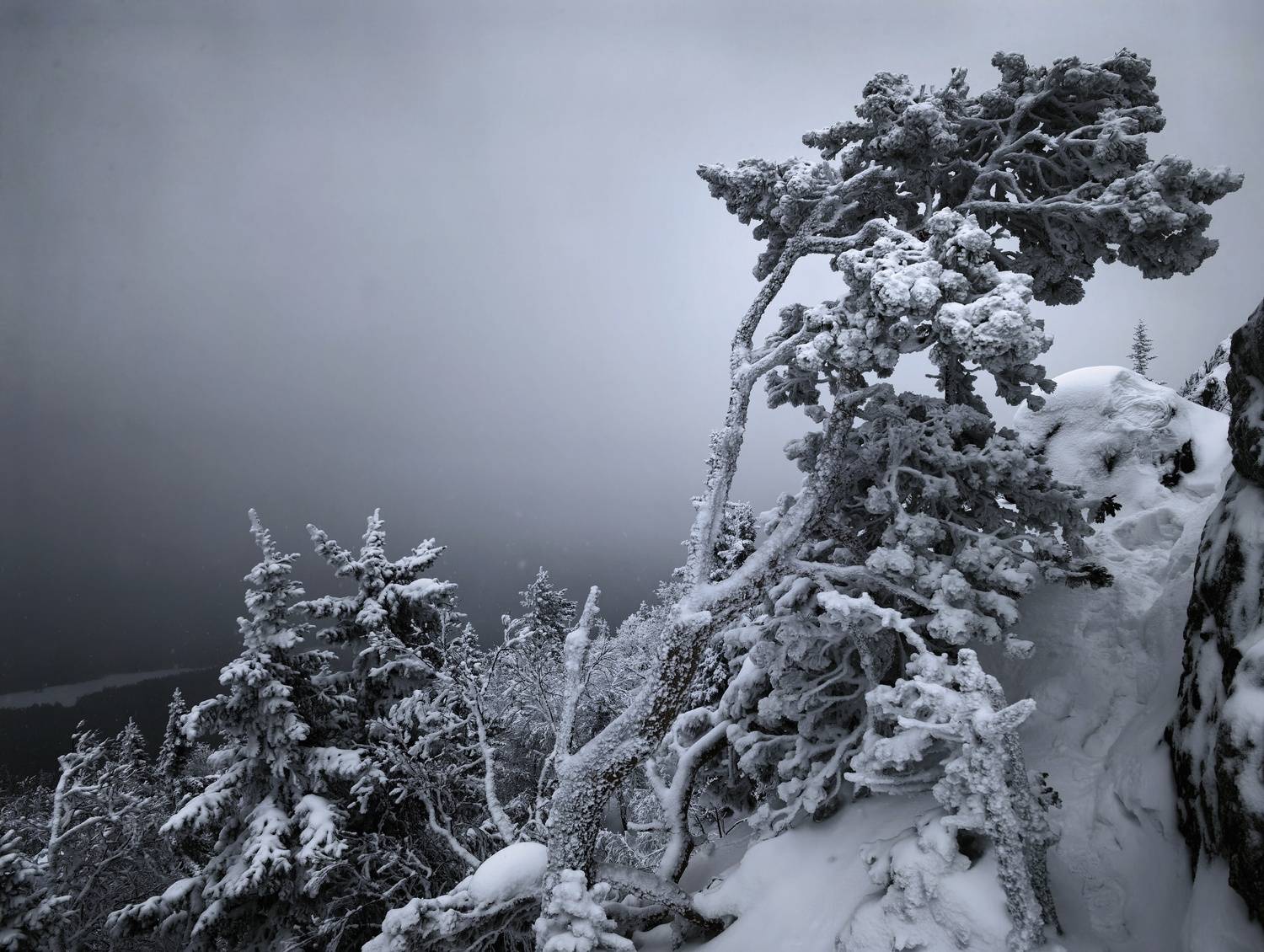 Во власти снега