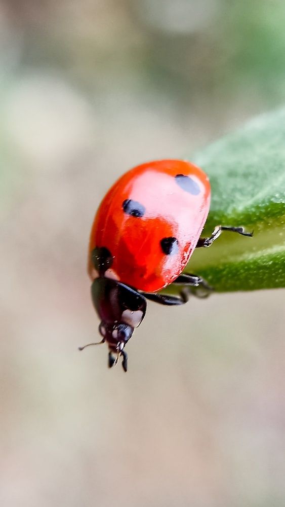 Photograph by Жанна Вахрамеева