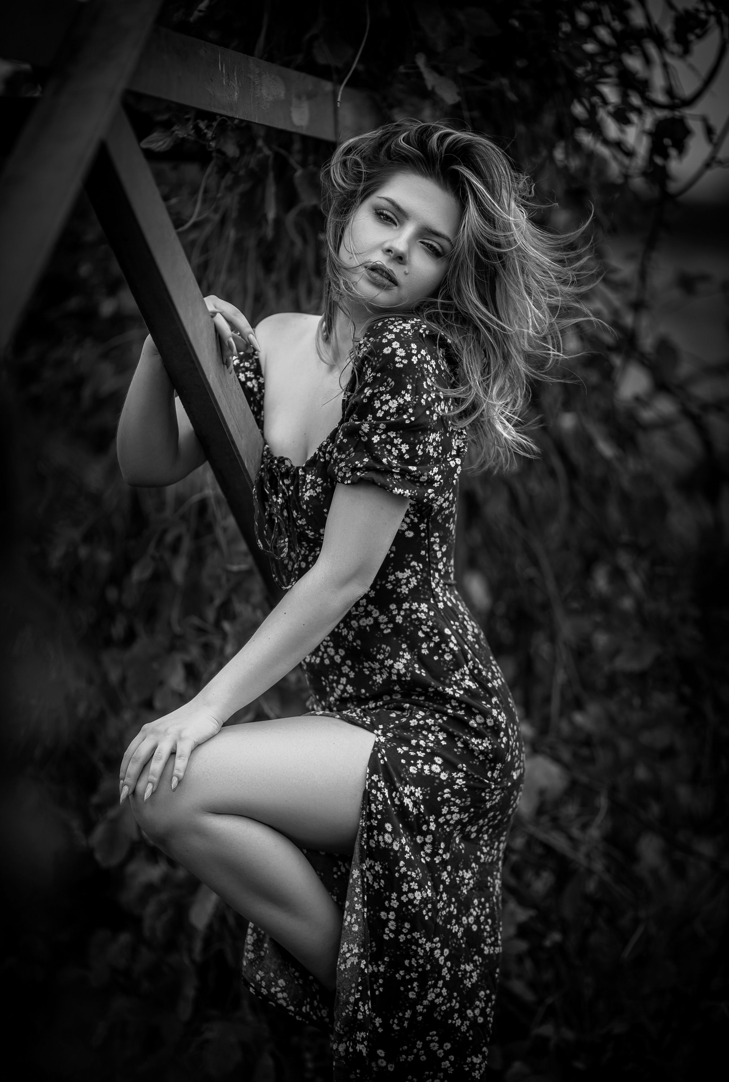 Photograph by Крапивин Алексей