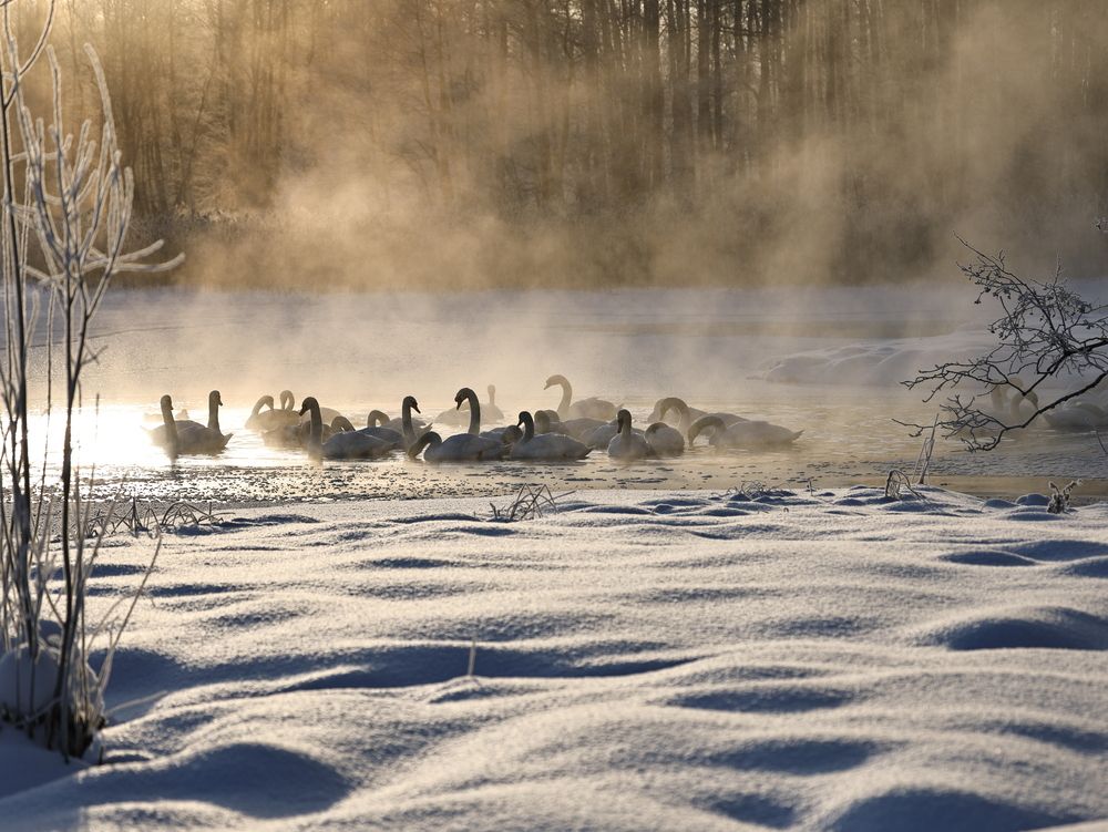 Photograph by Макаренко Денис