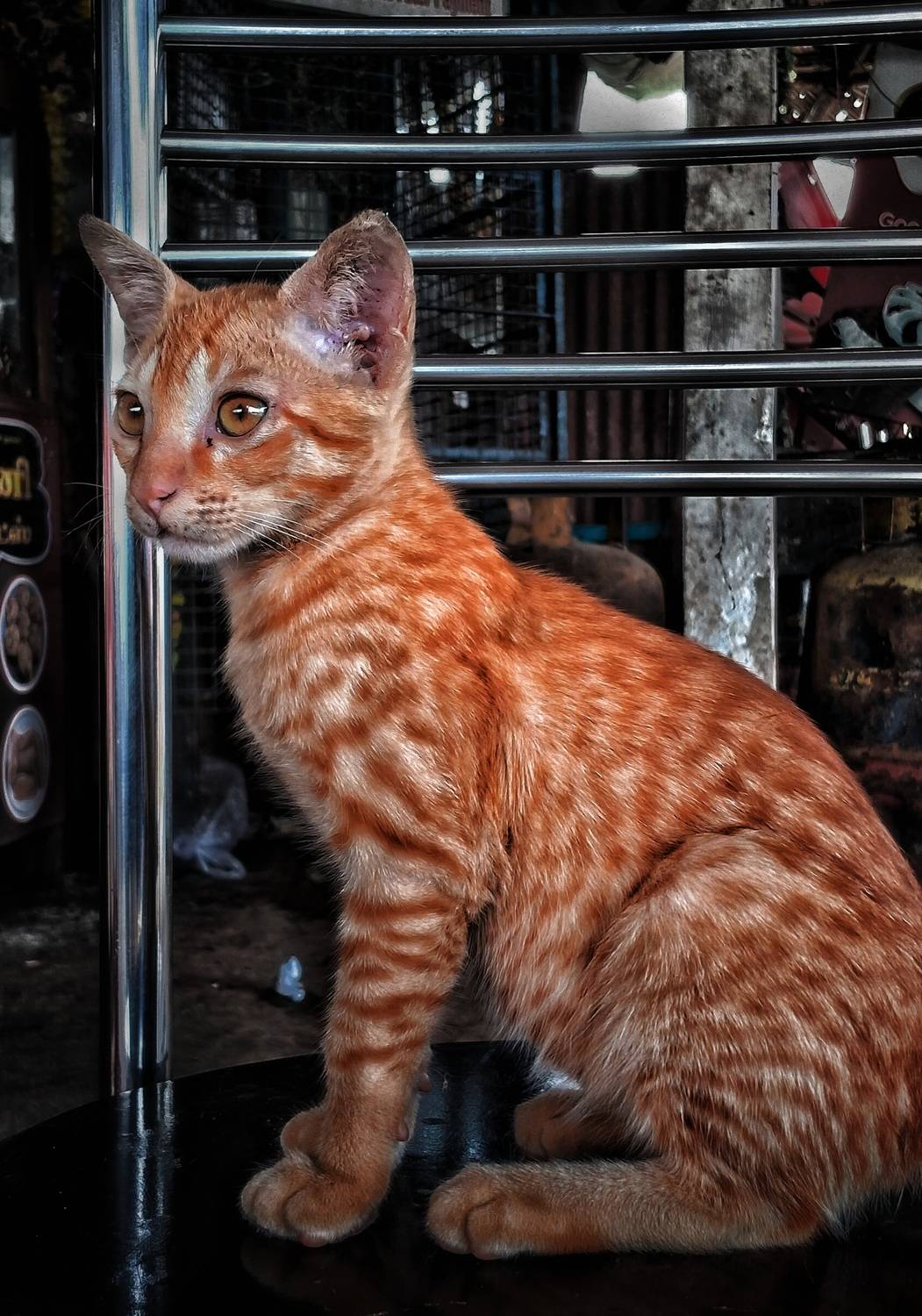 Eyes of innocence!! Eyes of innocence!!