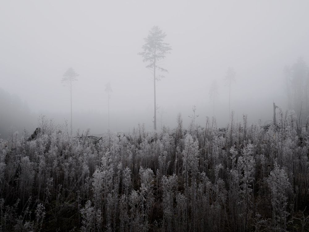 Photograph by Врубель Андрей