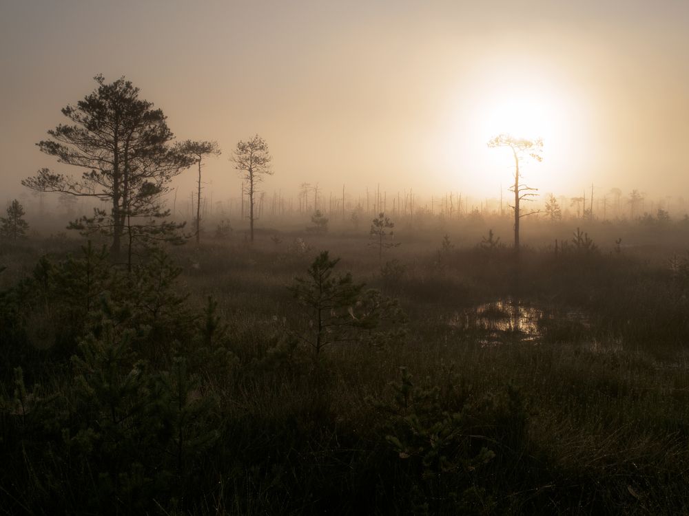 Photograph by Врубель Андрей