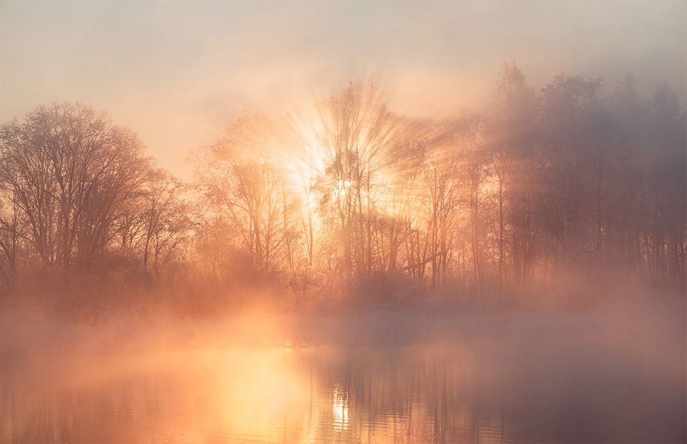 Between Shadow and Gold.