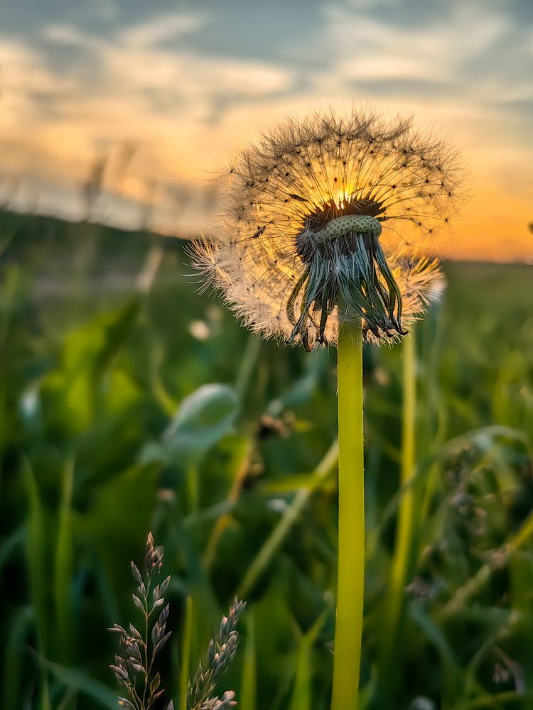 Photograph by Igor Maksimenko