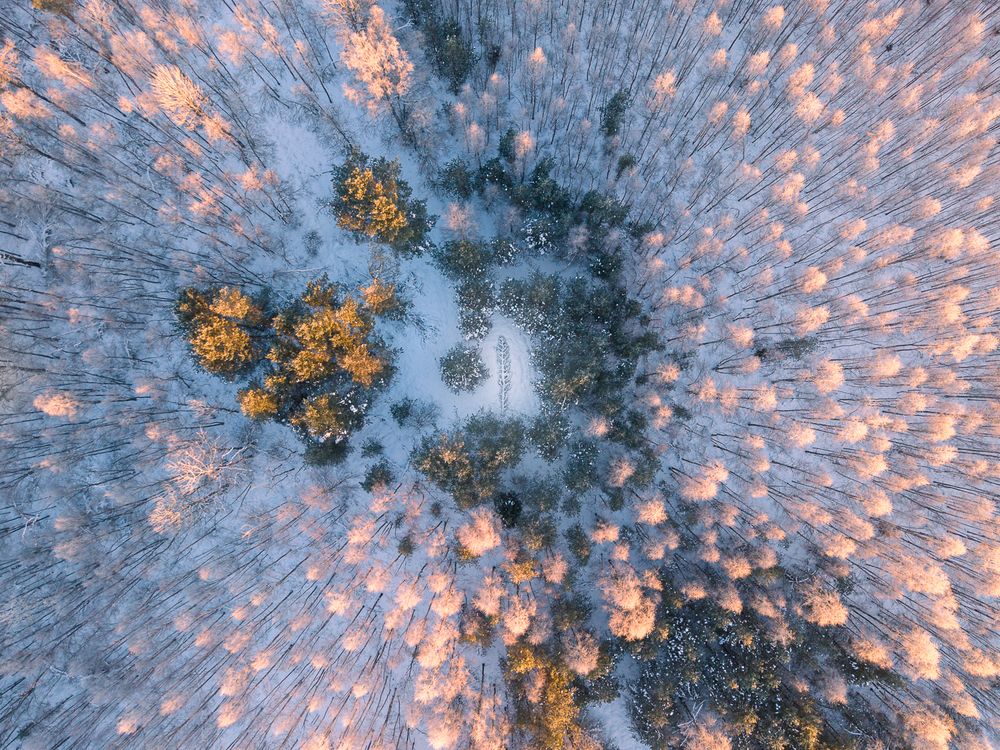 The Frozen Divide.