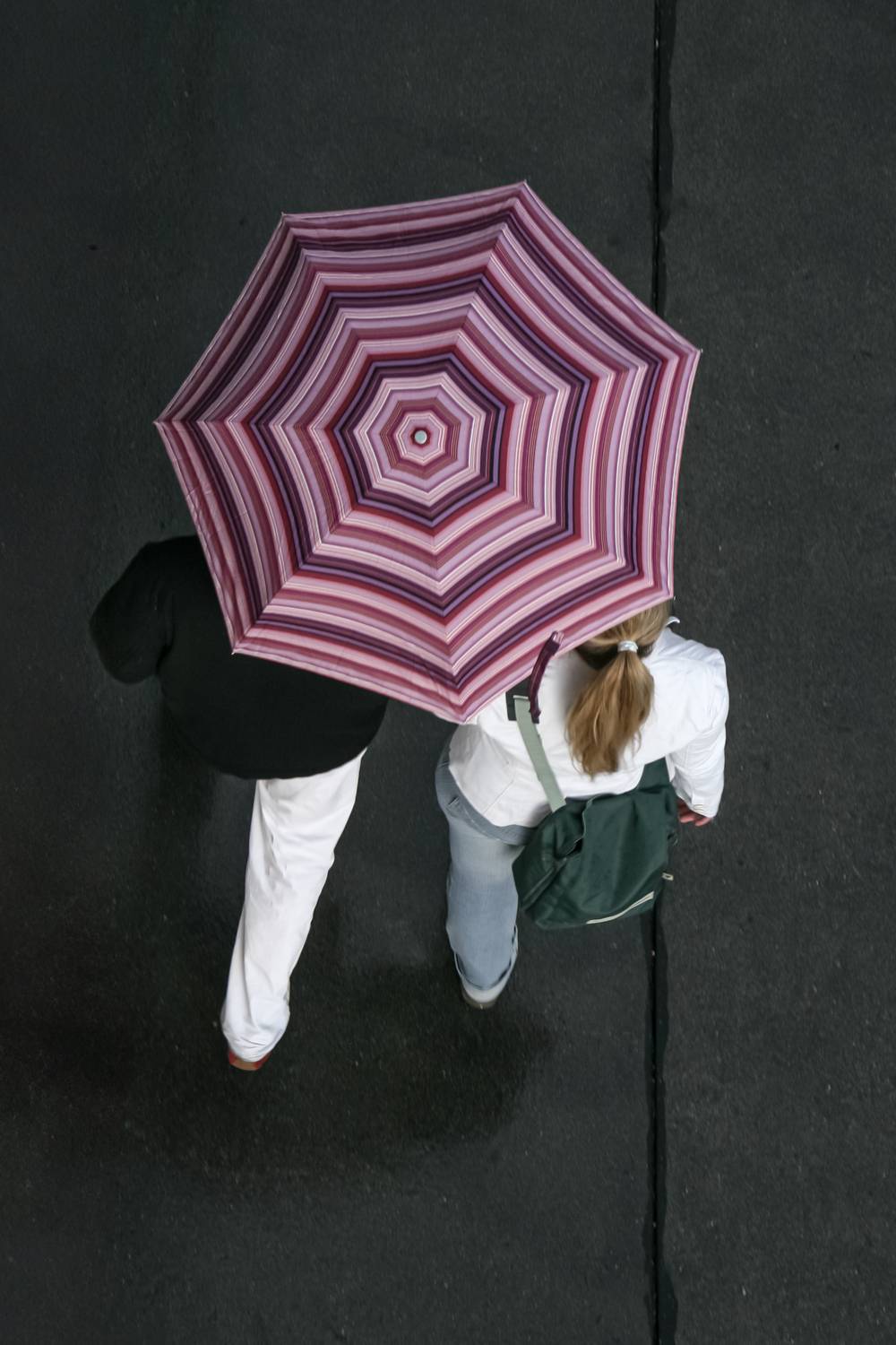 Shared Shelter Shared Shelter