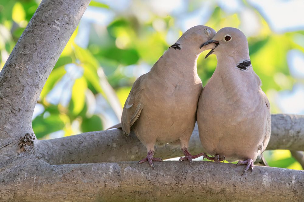 Photograph by Павел Шапочкин