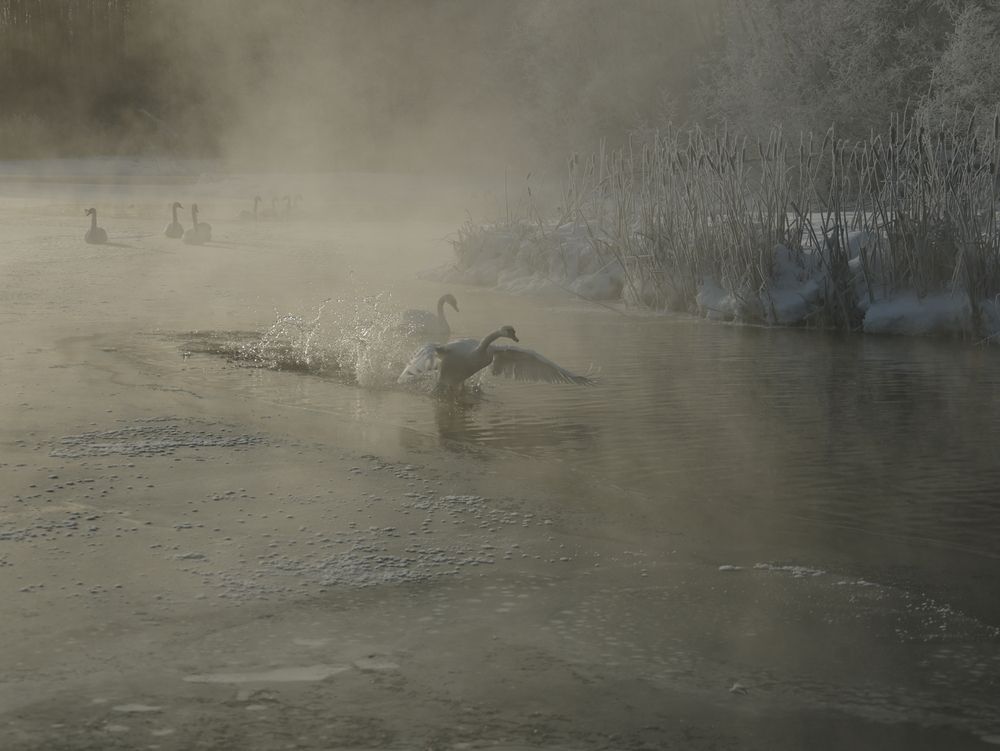 Photograph by Макаренко Денис