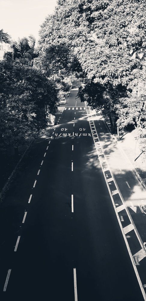 Photo #13371747