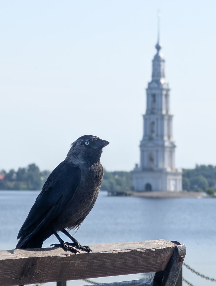 Photograph by Россоловская Евгения