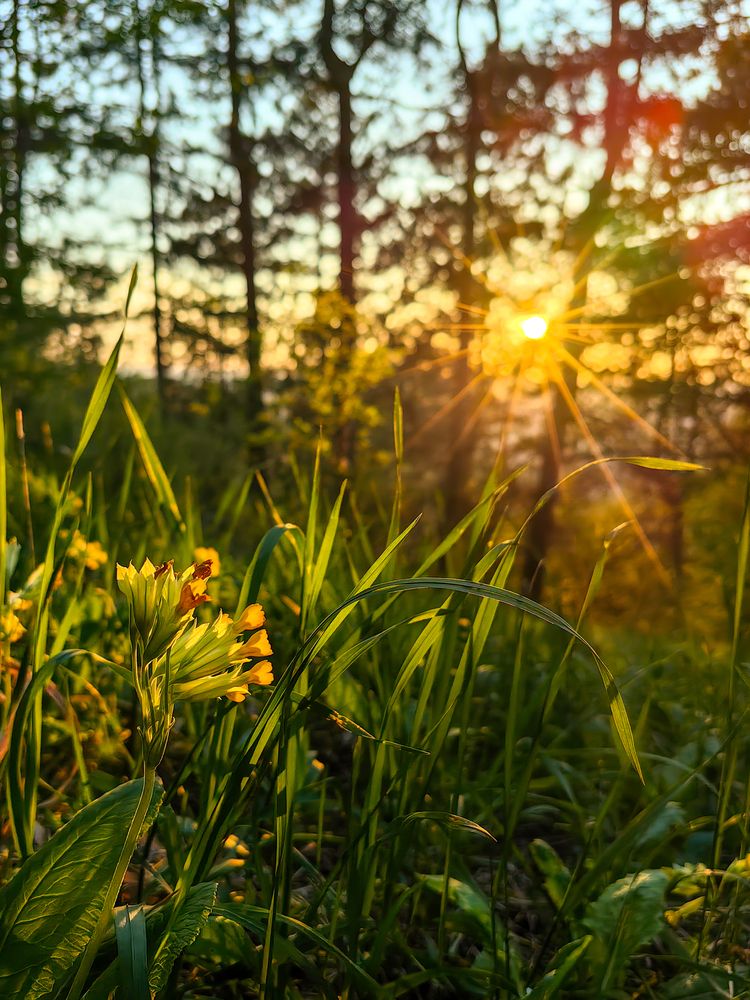 Photograph by Igor Maksimenko