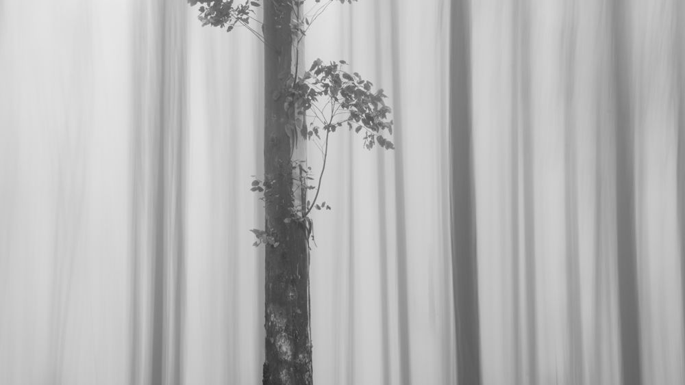 Photograph by Valdir Hobus