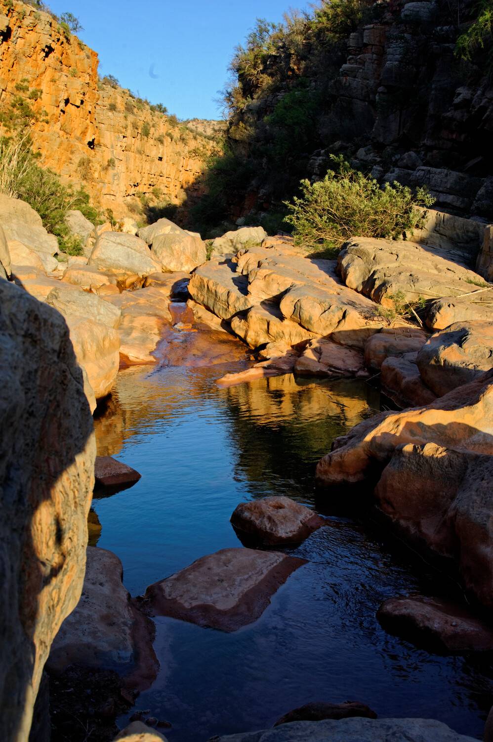 Фотография #13371830