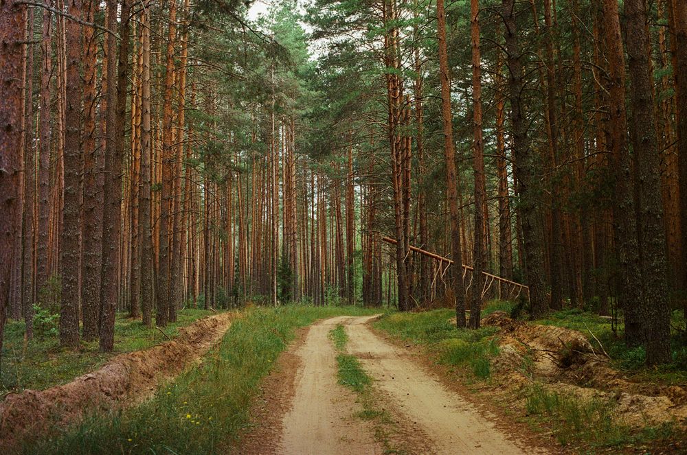 Photograph by Юлия Фомина