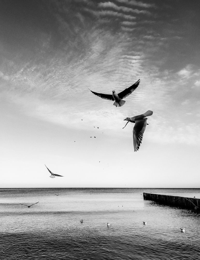 Фотография автора Вероника Летецкая