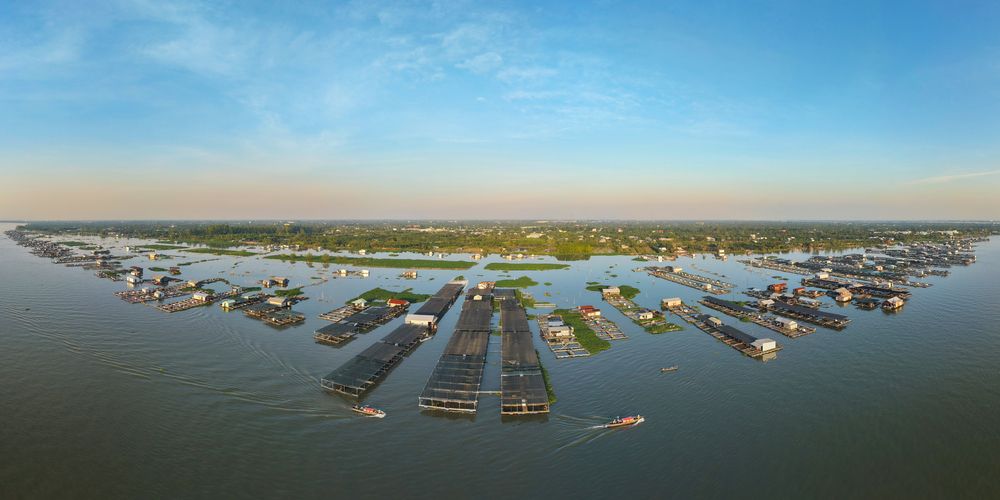 Sinh kế trên dòng nước (Floating Livelihoods)