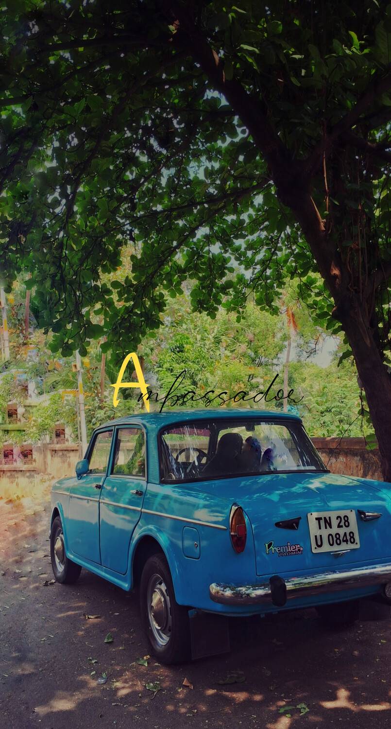 “Still Standing, Still Royal”