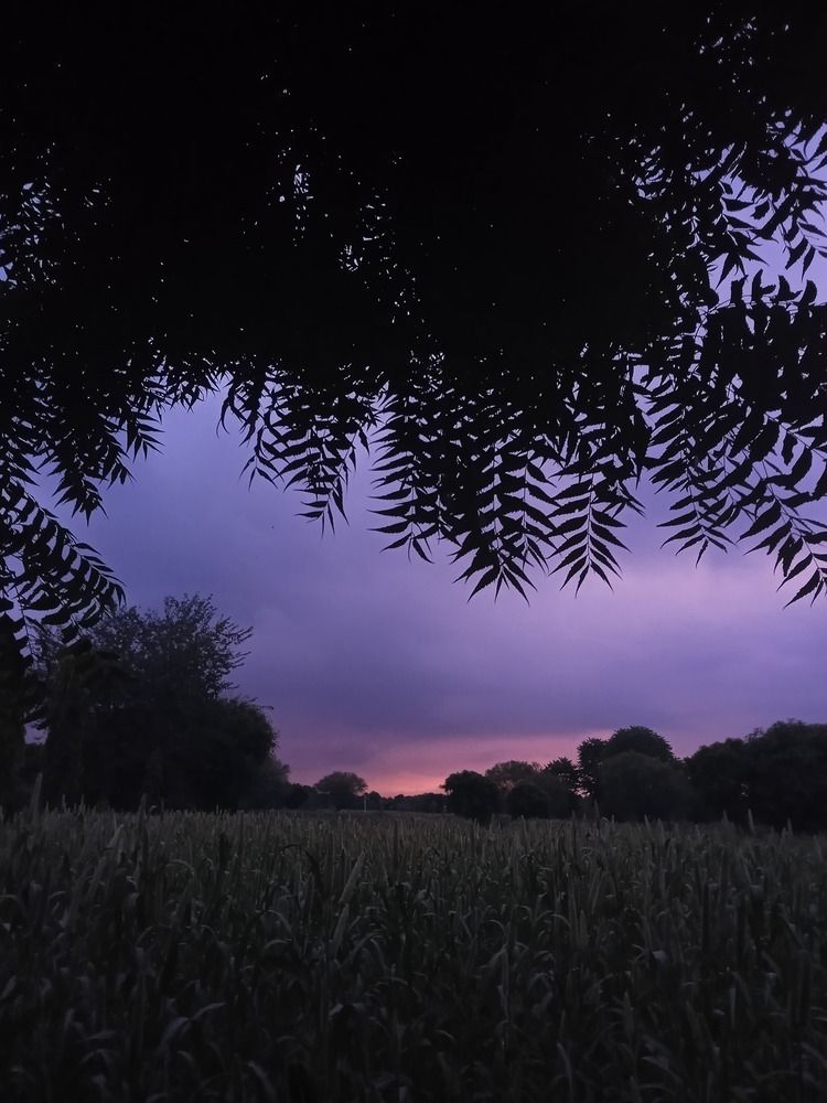 Photograph by Ishu