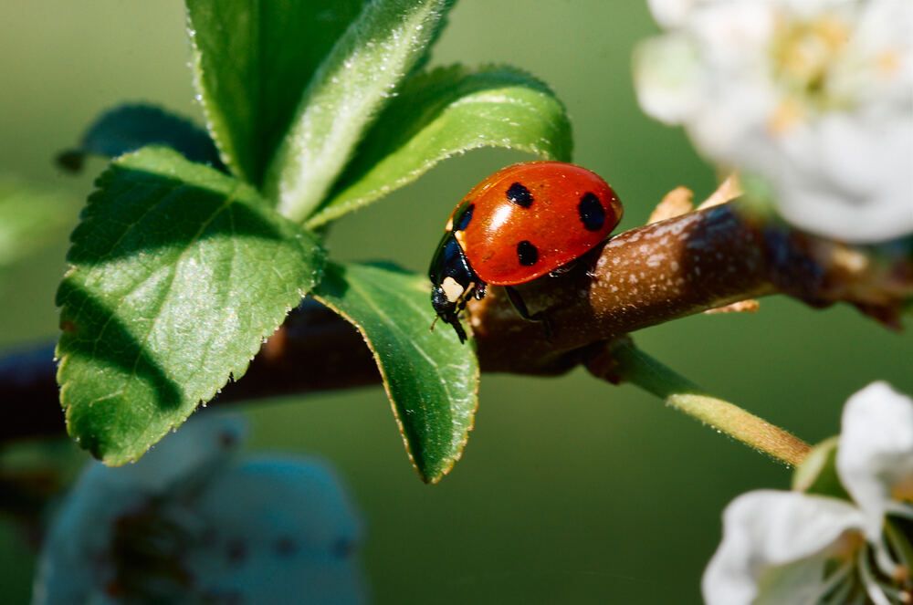 Photograph by Константин Громов