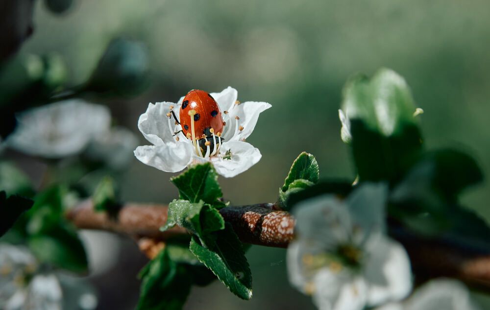 Photograph by Константин Громов