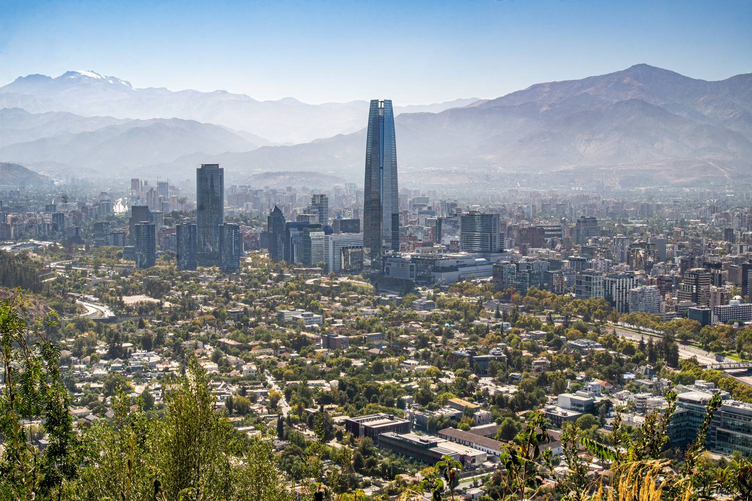 Фотография #13372025