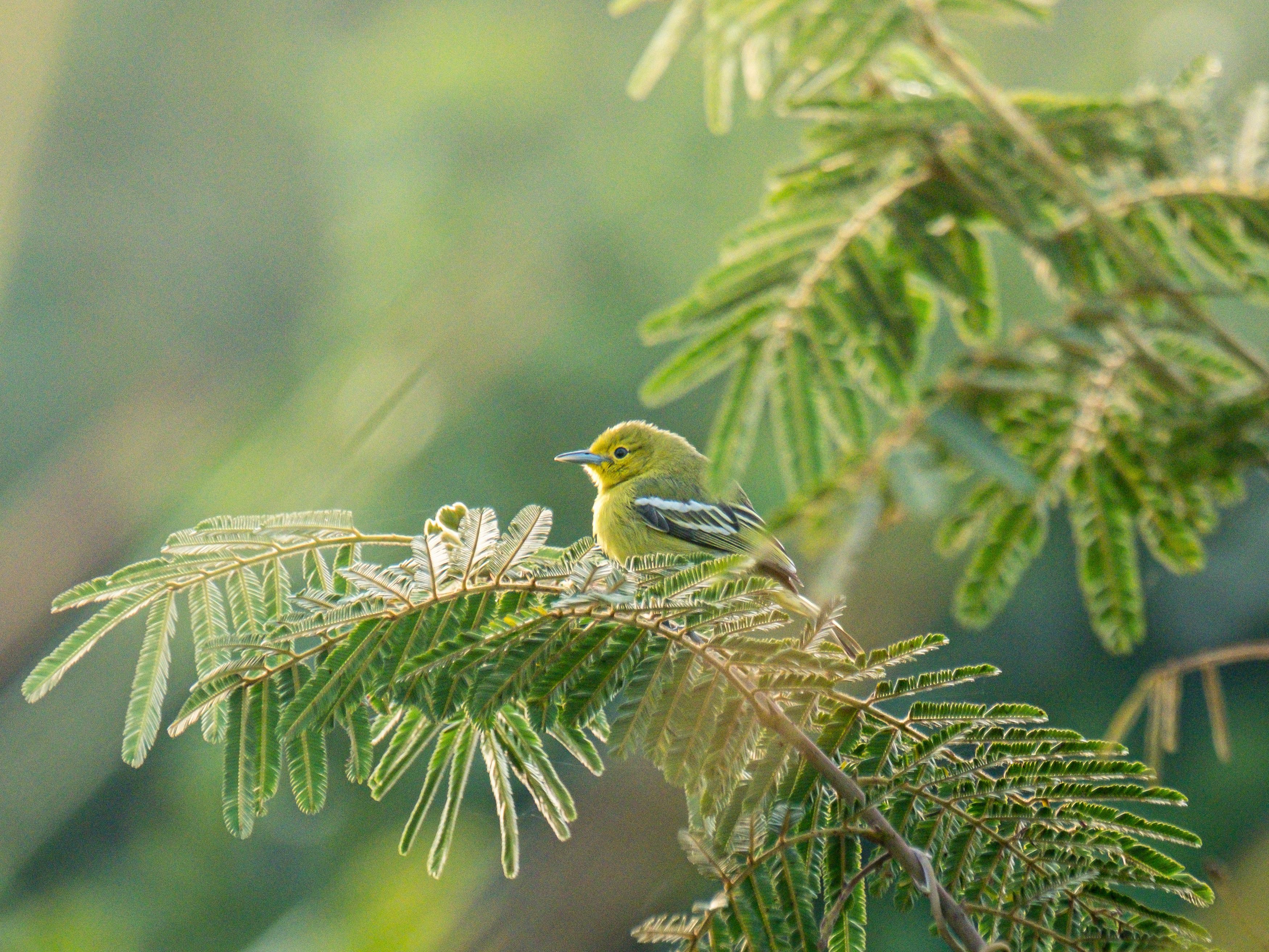 Photograph by Bùi Ngọc Hiếu